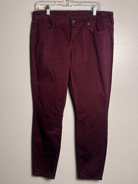 Arizona Jean Co. Burgundy Skinny Jeans